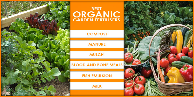 best organic garden fertilizers
