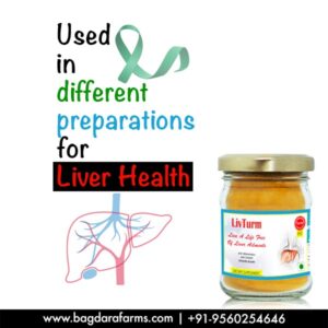 Livturm prevent your liver organically