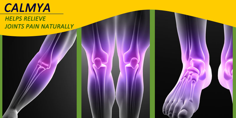 Calmya for ease in joint pain naturally