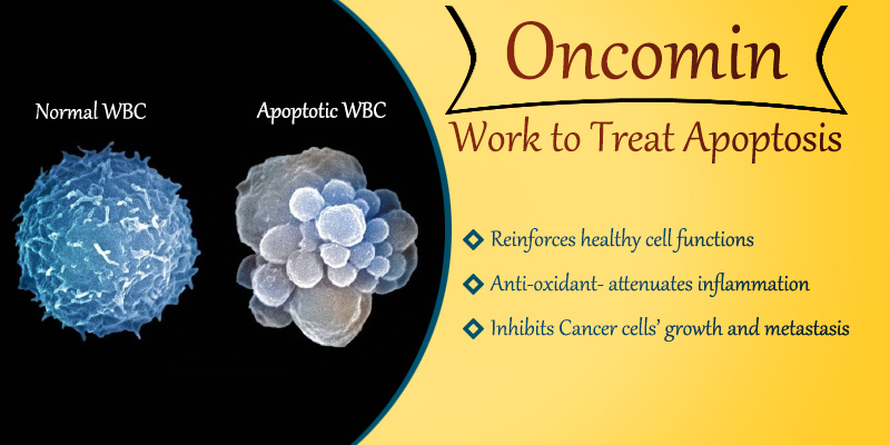 Oncomin works to treat apoptosis naturally