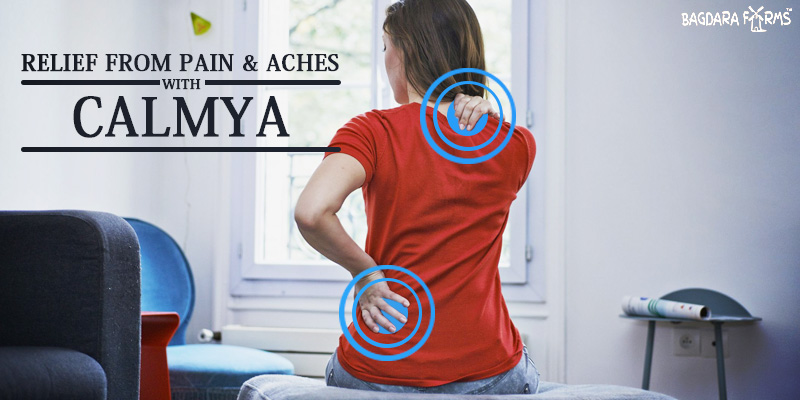 Relief from all joint pains with Calmya