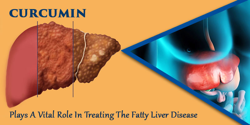 cure fatty liver with livturm