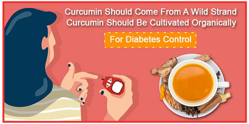 Sugeric for diabetes control