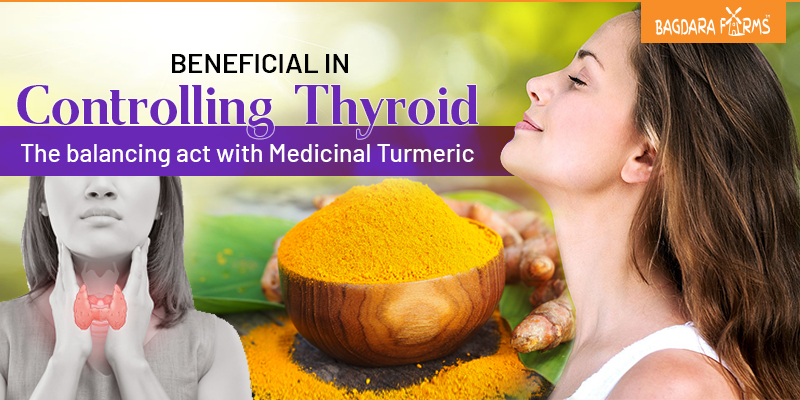 curcumin affect on thyroid , hypothyroidism ,