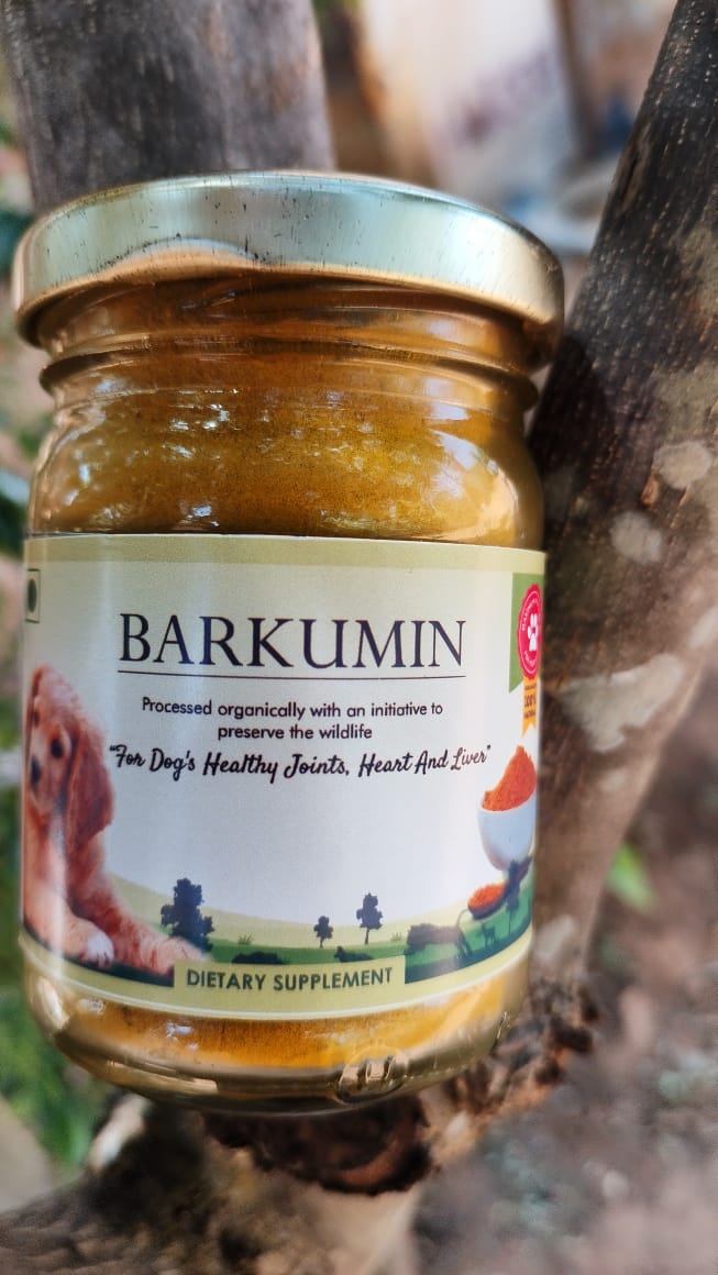 An image of a bottle of Barkumin, a turmeric-based food supplement for dogs, with the label displaying the product name and a picture of a happy dog running in a green field.